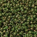 11o Seed Beads